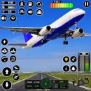 Flight Simulator: симулятор самолета