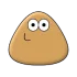 Pou