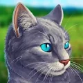 Симулятор кота - жизнь котёнка