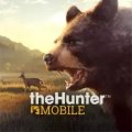 The Hunter