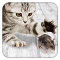 Игры для кошек мышь