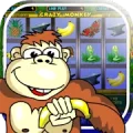 Crazy Monkey