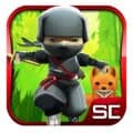 Mini Ninjas