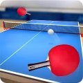 Table Tennis Touch (Настольный теннис)