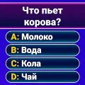 Миллионер