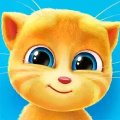 Мой говорящий Джинджер