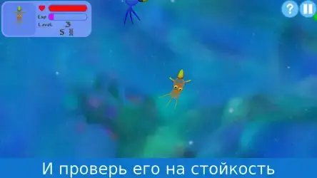 Эволюция видов