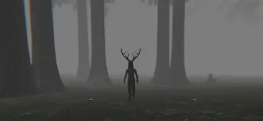 Trapped in the Forest