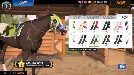 Состязание звезд: скачки (Rival Stars: Horse Racing)