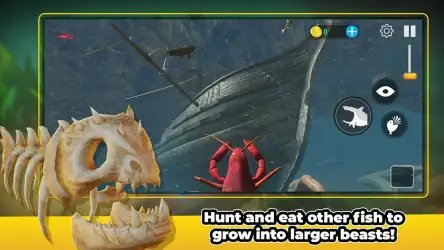 Feed and Fish Survivors