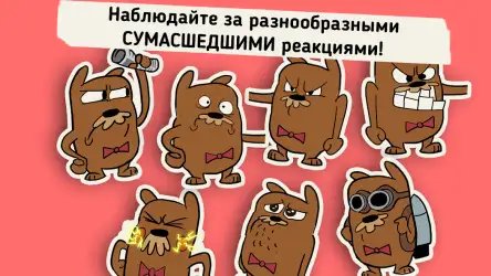 Do Not Disturb - забавные шутки