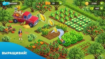 Spring Valley: farm