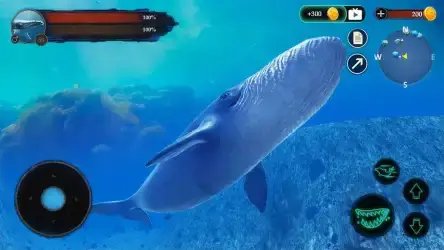 The Blue Whale (Синий кит)