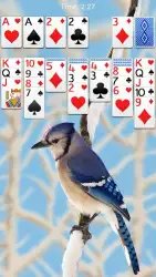 Solitaire — пасьянс