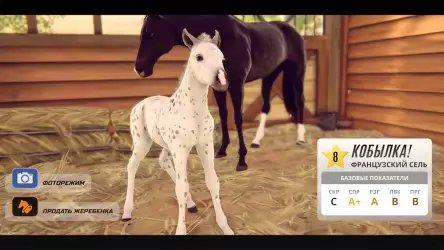 Состязание звезд: скачки (Rival Stars: Horse Racing)