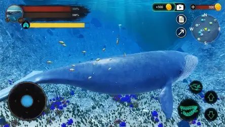 The Blue Whale (Синий кит)