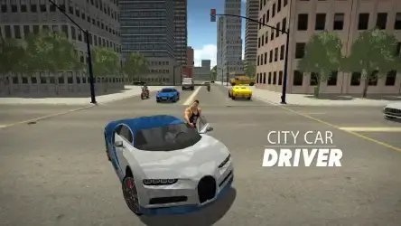 City Car Driver