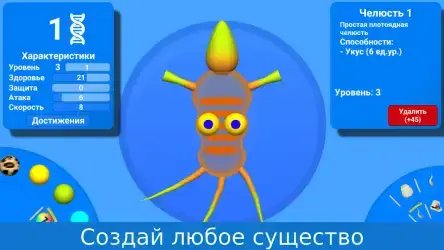 Эволюция видов