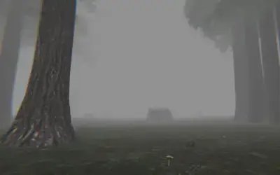 Trapped in the Forest