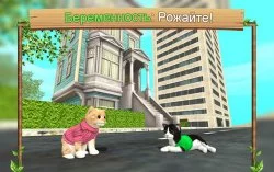 Симулятор кошки онлайн