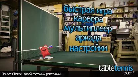 Table Tennis Touch (Настольный теннис)